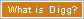 What is Digg?
